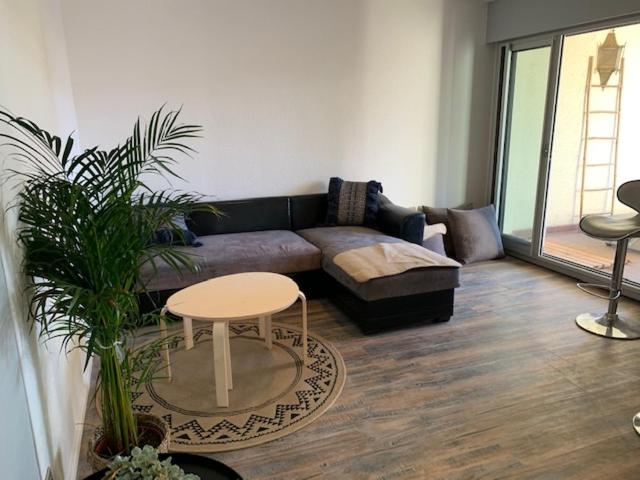 Le Green-Center, 2 pièces en Hyper Centre - Appartement 1 Chambre - 5
