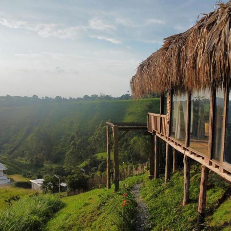 Eco Hotel Glamping El Silencio - Suite Doble Deluxe - Cama grande - 7