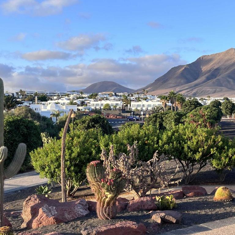 Villa Ariana - Playa Blanca - Villa with Private Pool - 56