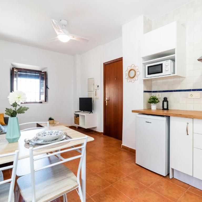 Brisas del Albaicín I, By DaiMar - One-Bedroom Apartment - 27