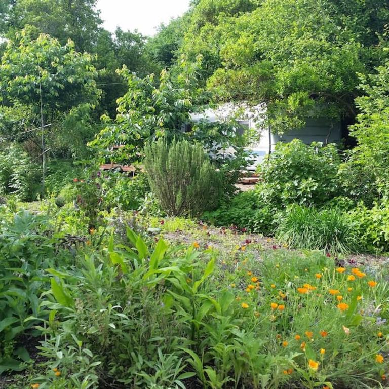L'Hermitage au sein d'un jardin forêt près de l'océan - Caravane - 36