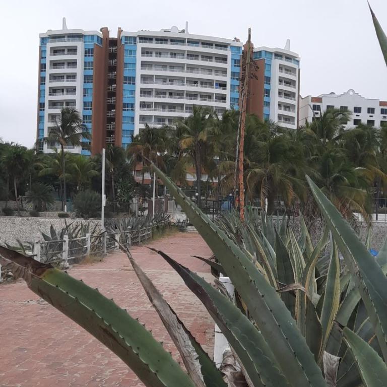 Carabelas de Colon con balcon grande y vista hermosa - Apartamento de 2 dormitorios - 17