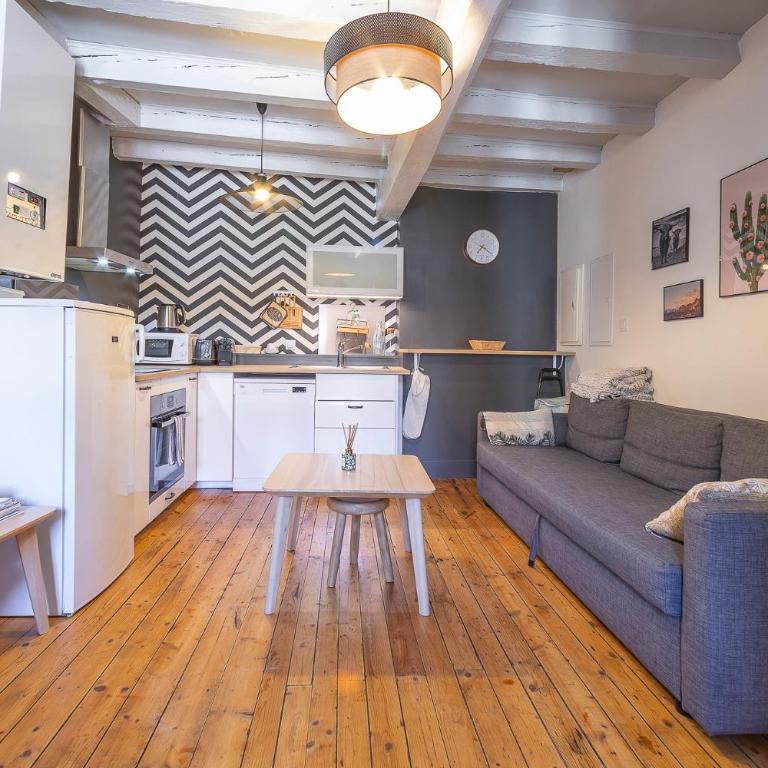 Bel appartement, 2 chambres, Annecy Coeur de ville - Two-Bedroom Apartment - 1