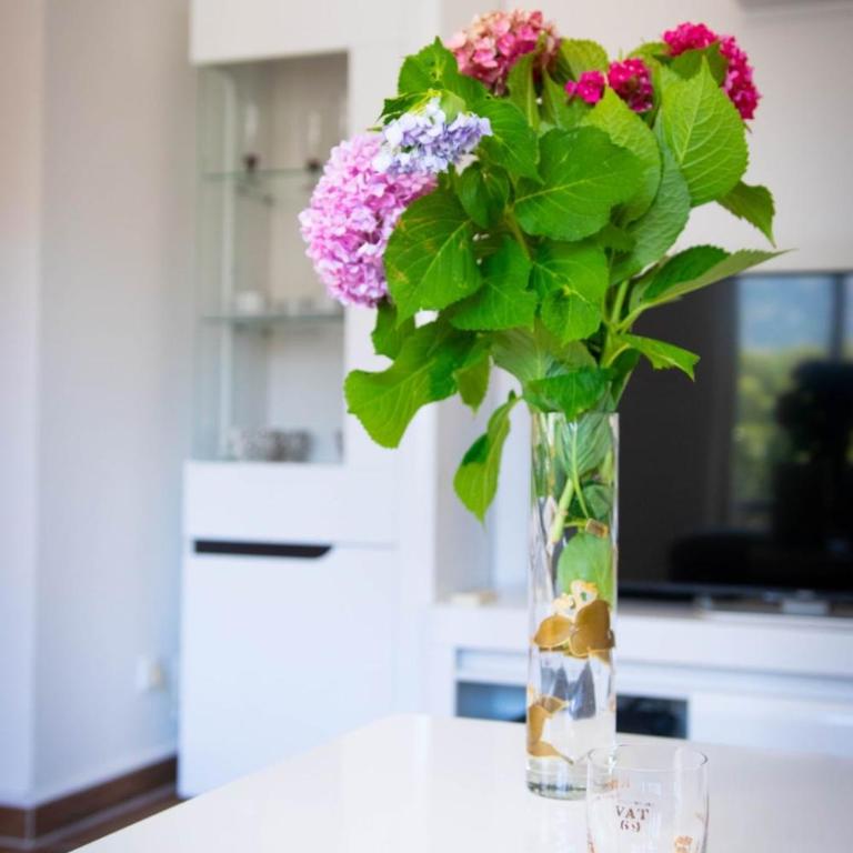 Campi d’Oro - Apartman sa 2 Spavaće Sobe - 4