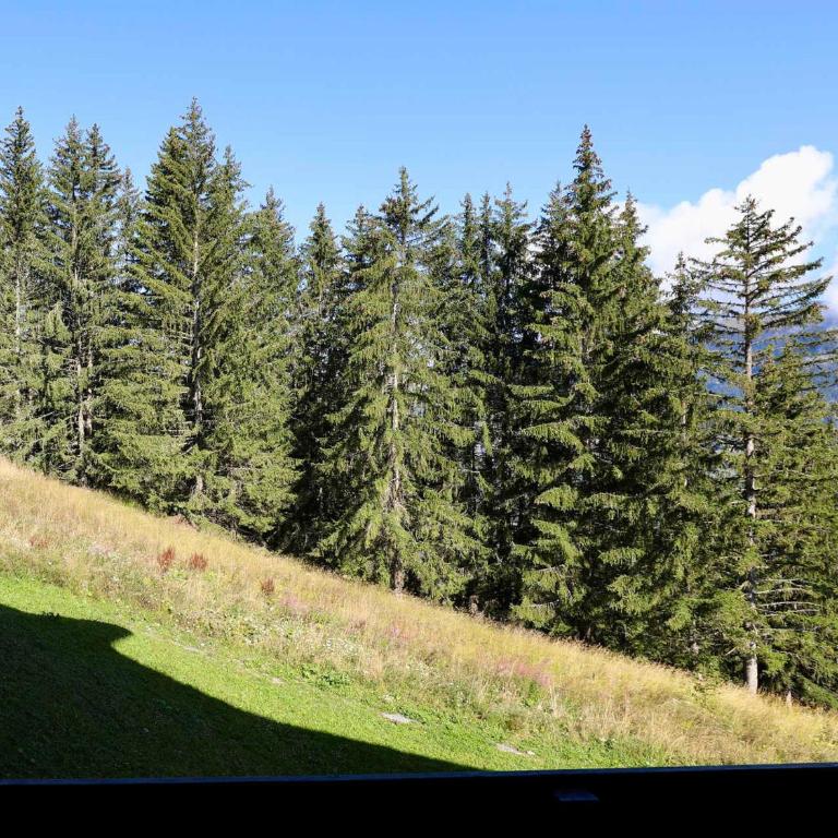 Nid Douillet Rénové à Courchevel: 4 Pers, Ski aux Pieds, Wifi - Apartamento de 1 dormitorio - 7