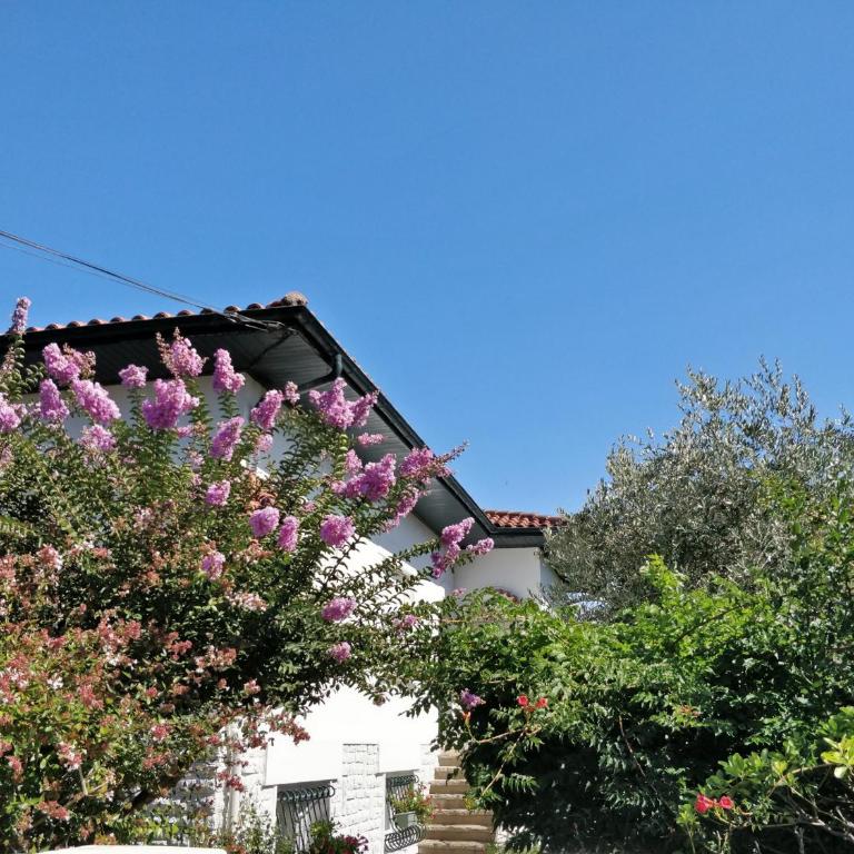 Villa Pare Gabea - 1 ou 2 chambres, jardin privatif 600m2 - Anglet - Appartement 2 Chambres avec Terrasse - 45