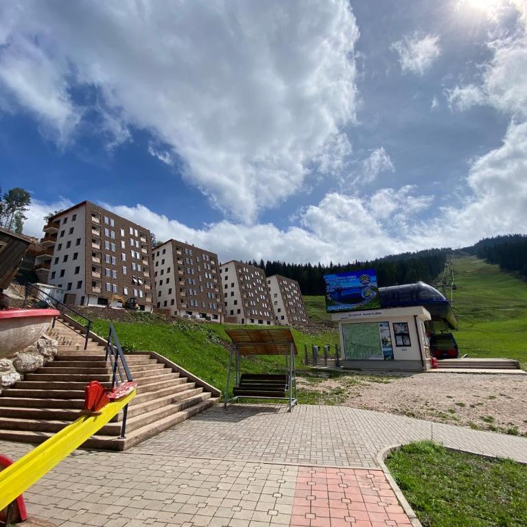 Apartman Ravna Planina - One-Bedroom Apartment - 23