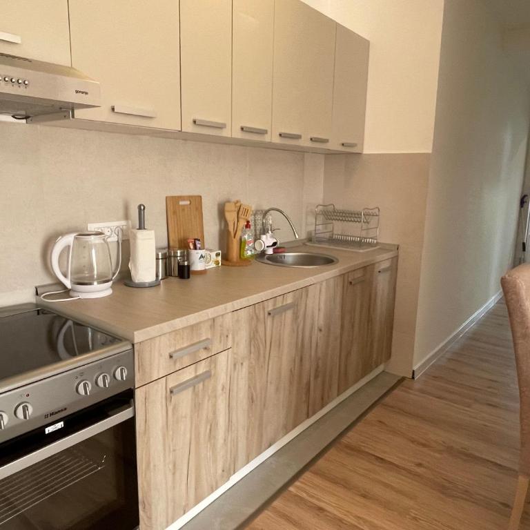 Apartmani Žabljak Hills - Two-Bedroom Apartment - 8