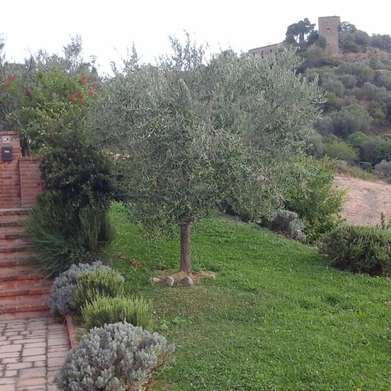 Appartamento con vista panoramica - Appartamento con 1 Camera da Letto - 3