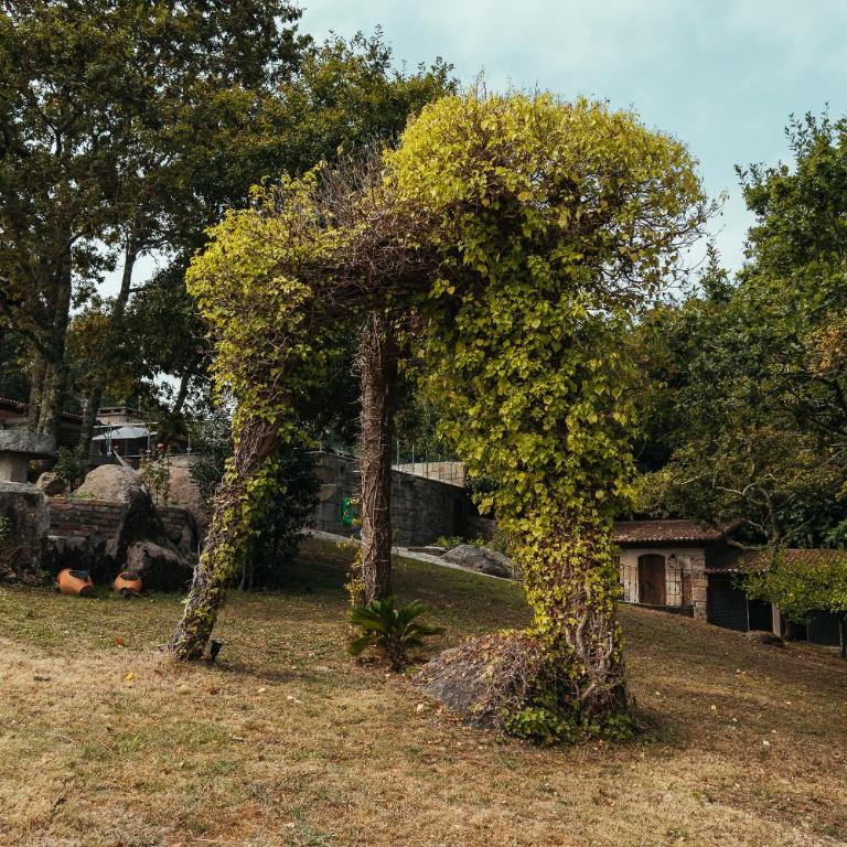 Finca O Mermeleiro - Villa de 3 dormitorios - 17