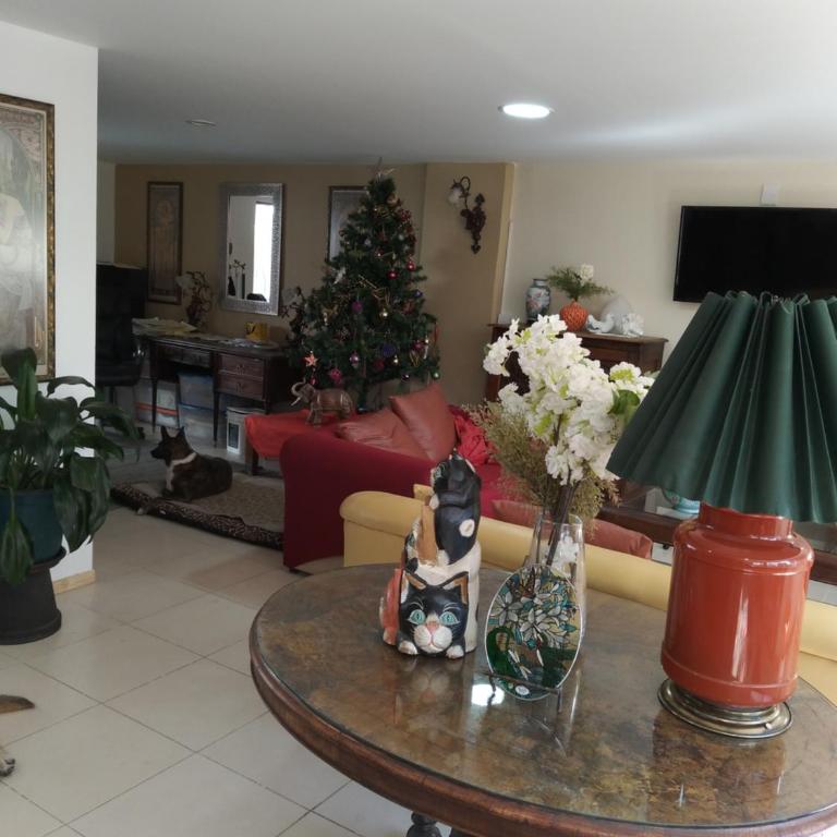 Charming sunny bedroom overlooking beautiful Amsterdam Avenue in best Condesa area - Double Room - 25