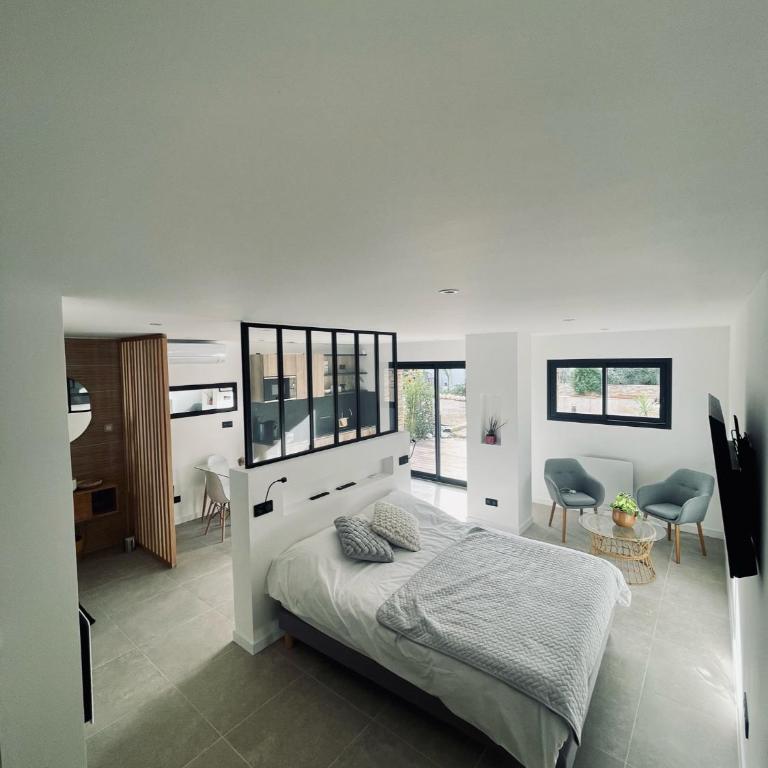 La suite provençale - Appartement 1 Chambre - 3