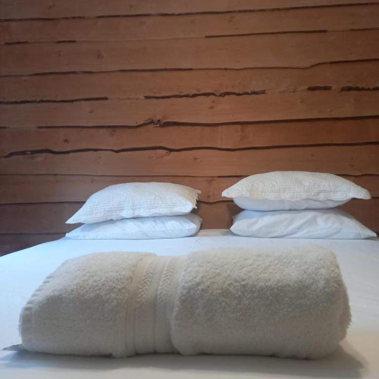Cabanas Senderos Puyuhuapi - Casa Unifamiliar de 3 dormitorios - 5