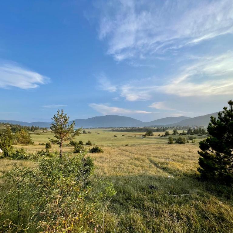 Apartman Djina Zabljak - Two-Bedroom House - 38