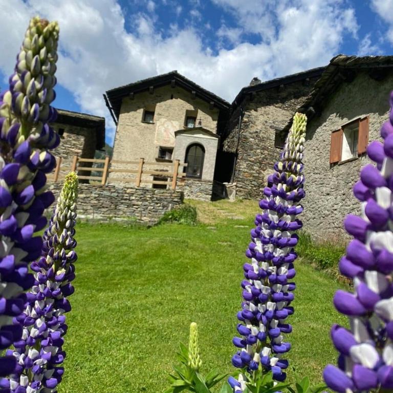 Albergo Casa Alpina San Luigi - Chalet con 2 Camere da Letto - 5