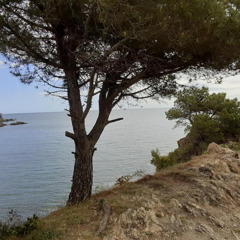CAP d OSNE - Appart 40 m2 Climatisé 2mn plage et ville - Apartamento - Planta baja - 43