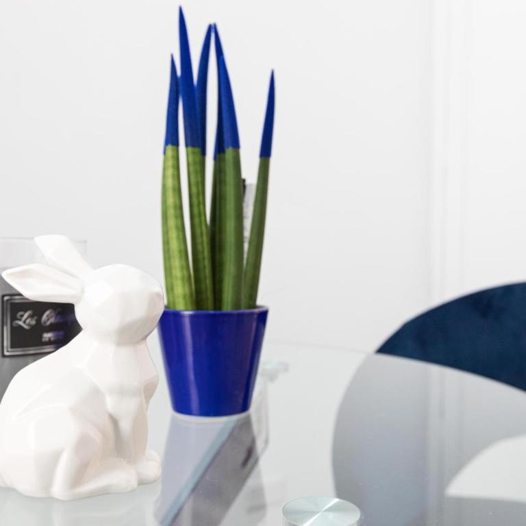 Trastevere Blue King Studio Suite - Appartamento con 1 Camera da Letto - 12