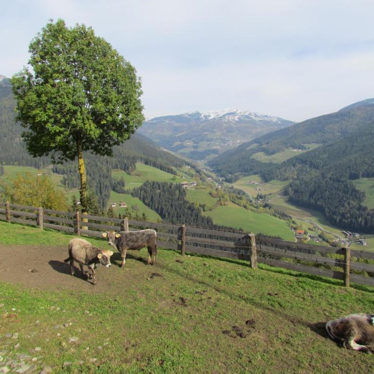 Oeberst-hof - Two-Bedroom Apartment - 32