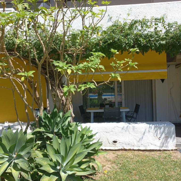 Marbella Milla de Oro/ Golden Mille Marbella - Apartamento de 1 dormitorio - 2