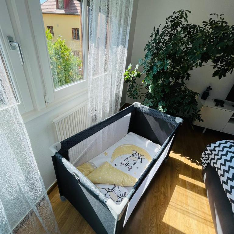 Le gîte de Sabina - Colmar - Appartement avec Terrasse - 27