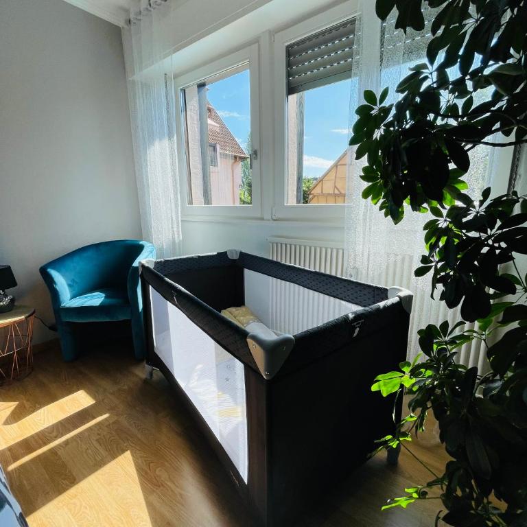 Le gîte de Sabina - Colmar - Appartement avec Terrasse - 26