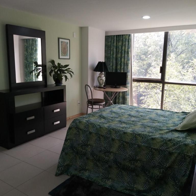 Charming sunny bedroom overlooking beautiful Amsterdam Avenue in best Condesa area - Double Room with Garden View - 11