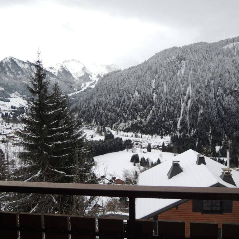 Appartement 4 pers avec balcon et parking à Châtel - FR-1-198-98 - Appartement (4 Adultes) - 3