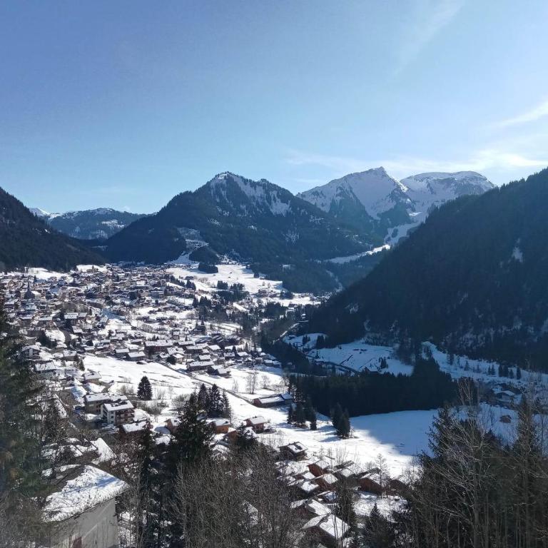 Appartement 6 pers à Châtel avec Parking et Wifi - FR-1-198-162 - Apartamento (6 adultos) - 5