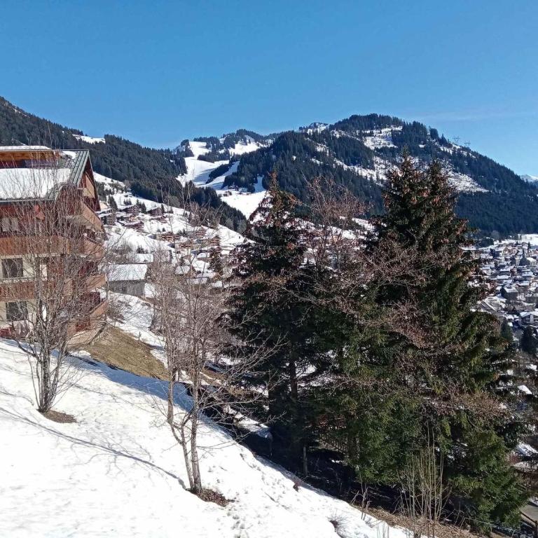 Appartement 6 pers à Châtel avec Parking et Wifi - FR-1-198-162 - Apartamento (6 adultos) - 7