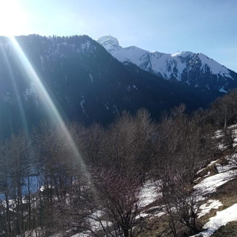 Appartement 6 pers à Châtel avec Parking et Wifi - FR-1-198-162 - Apartamento (6 adultos) - 8