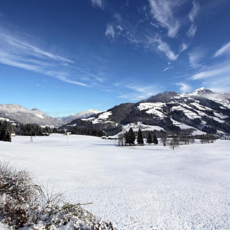 Landhaus Manzl - Apartment mit Blick auf die Berge - 2