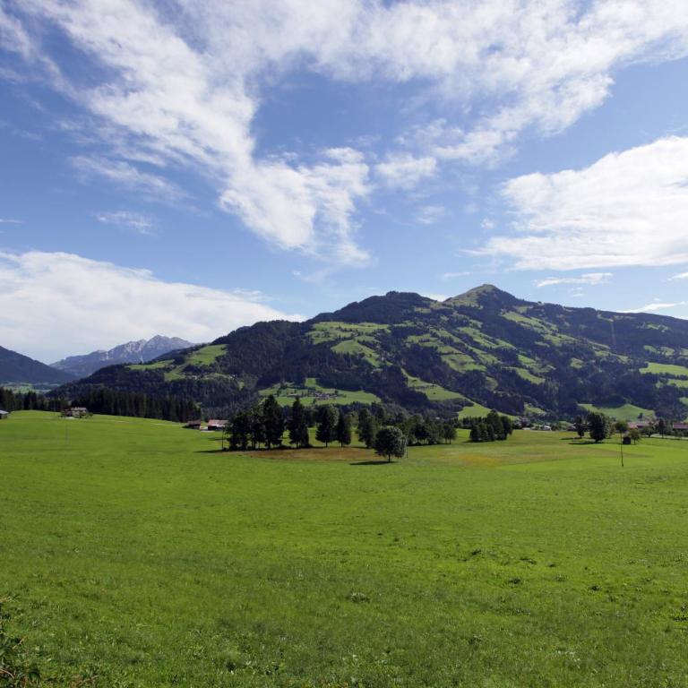 Landhaus Manzl - Apartment mit Blick auf die Berge - 13