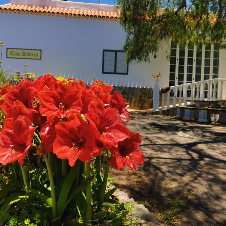 CASA rural DOLORES en Adeje - Casa - 79
