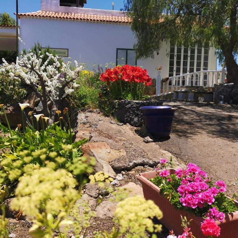 CASA rural DOLORES en Adeje - Casa - 81