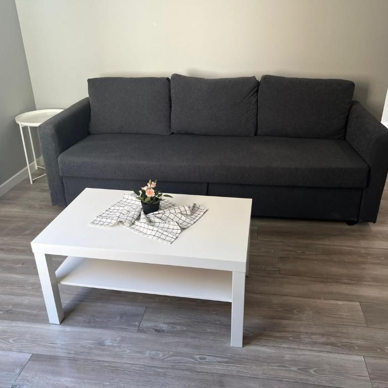 App 1 Mulhouse centre , 6 personnes - Appartement 2 Chambres - 22