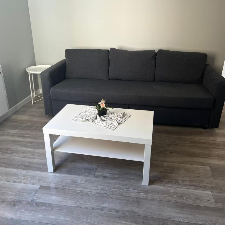App 1 Mulhouse centre , 6 personnes - Appartement 2 Chambres - 26