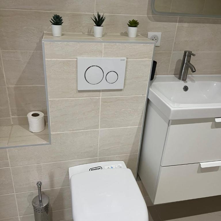 App 1 Mulhouse centre , 6 personnes - Appartement 2 Chambres - 30