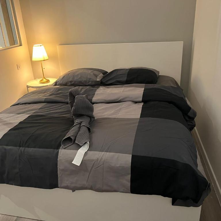 App 1 Mulhouse centre , 6 personnes - Appartement 2 Chambres - 32