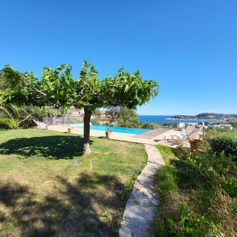Les Citronniers - Splendide vue mer accès plage à pieds à 5 minutes - Villa con Vista Mare - 30