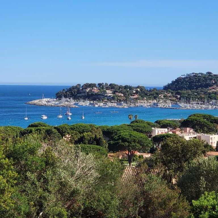 Les Citronniers - Splendide vue mer accès plage à pieds à 5 minutes - Villa con Vista Mare - 35