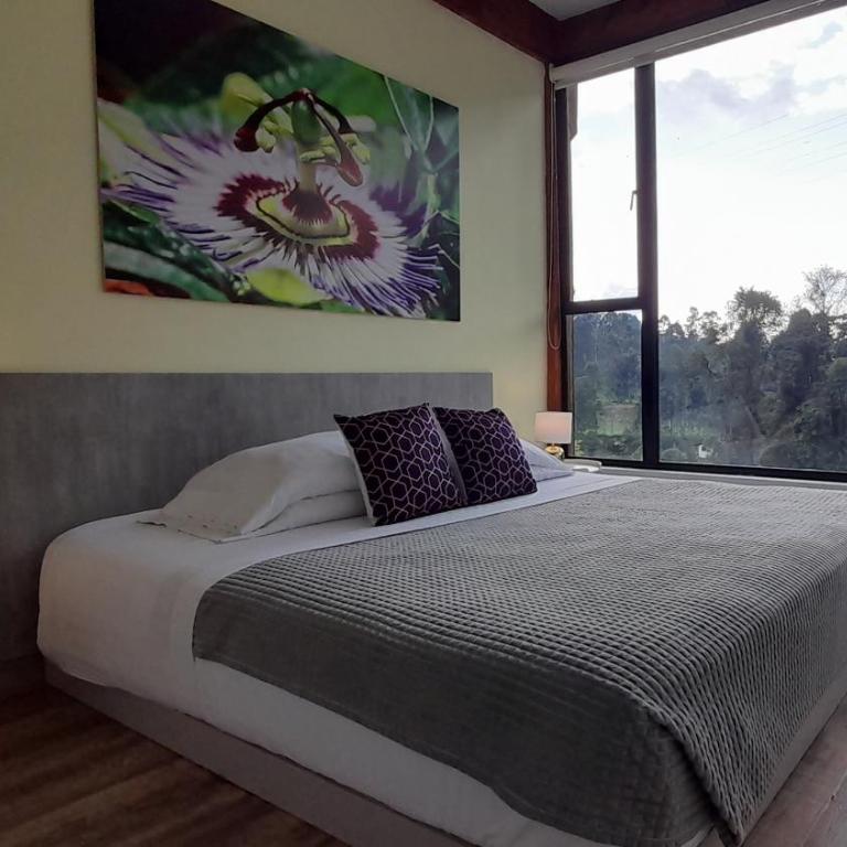 Hotel Termales Tierra Viva - Habitación Doble con vistas a la montaña - 8