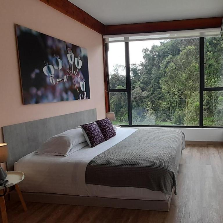 Hotel Termales Tierra Viva - Habitación Doble con vistas a la montaña - 12