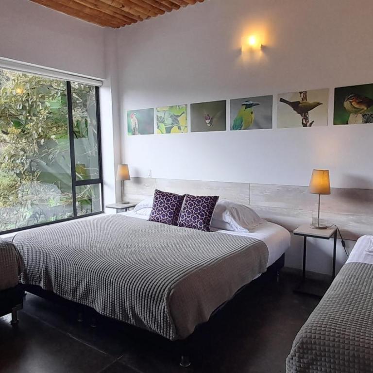 Hotel Termales Tierra Viva - Habitación Cuádruple con vistas a la montaña - 3