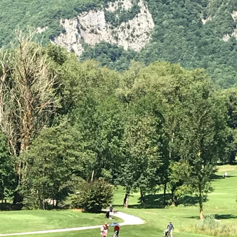 Petit cocon entre lac, golf et montagne, proche d'Annecy - Appartement avec Terrasse - 42