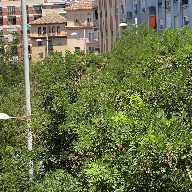 Apartamento Ronda Genil con parking gratuito - Two-Bedroom Apartment - 37
