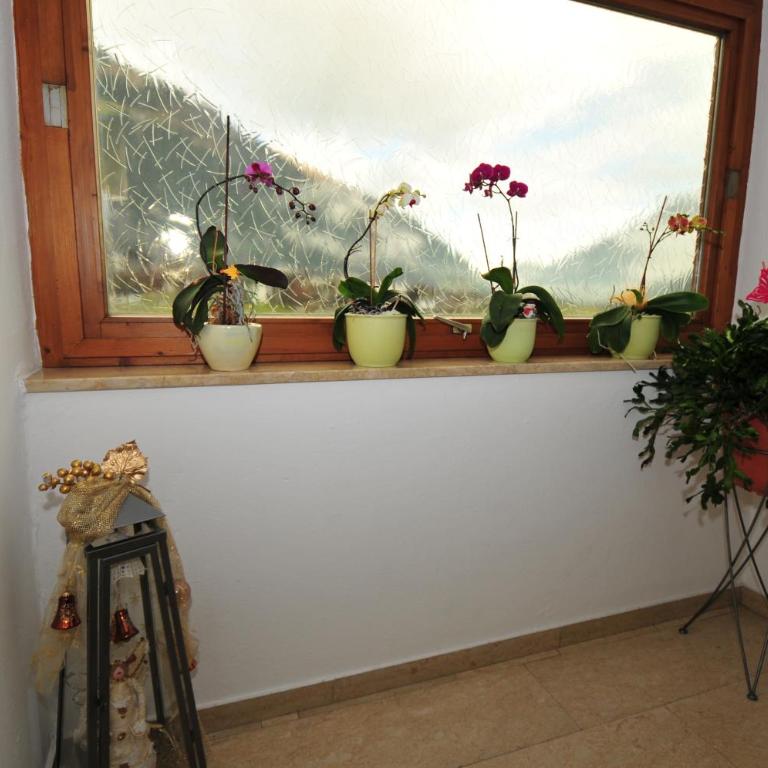Pension Christophorus - Apartment mit 3 Schlafzimmern - 42