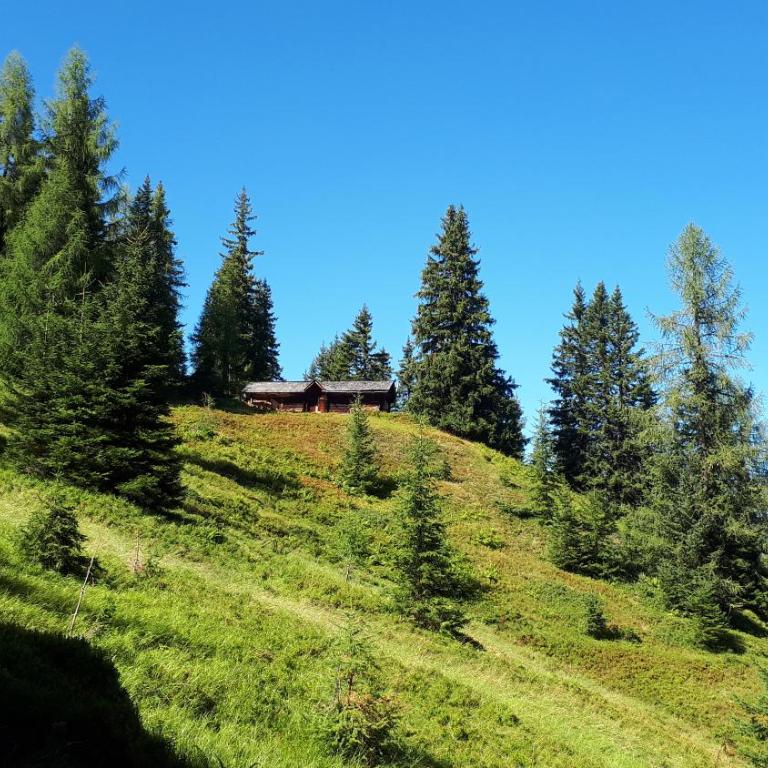 Vorderkaseralm - Ferienhaus - 7