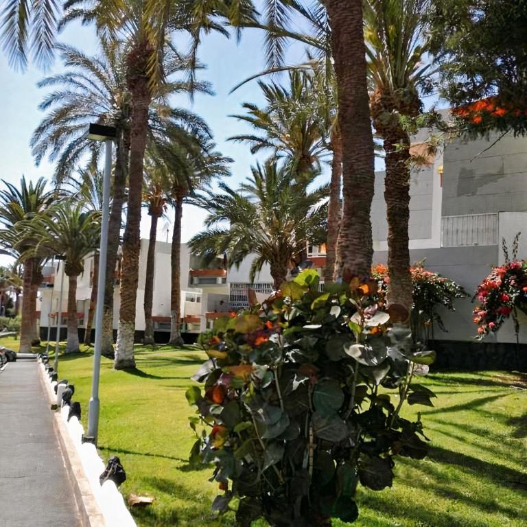 Primavera Tenerife - Apartamento de 2 dormitorios - 46