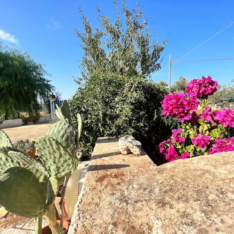 AL PEPE NERO - Casa in campagna a soli 5 minuti dal mare - Appartamento con 1 Camera da Letto - 18