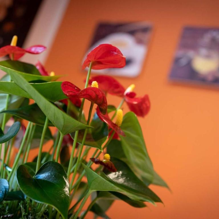 Casa Martina- Airport free shuttle-H24 - Appartamento con 2 Camere da Letto - 23